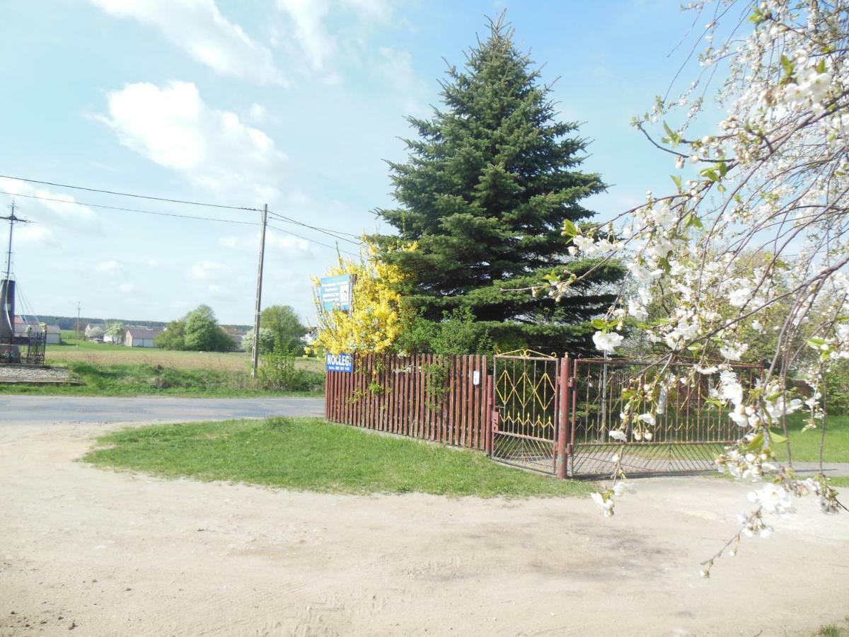 Niezapominajka Jenki Exterior foto