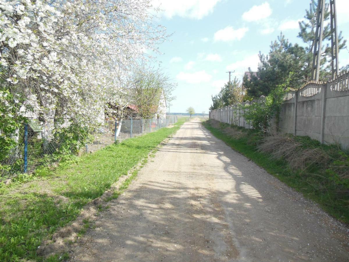 Niezapominajka Jenki Exterior foto